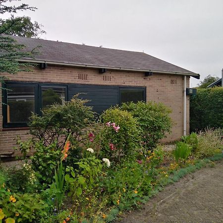 Gemuetliches Ferienhaus An Der Kueste Nordholland Sint Maartenszee Boerenslag 5 Sint Maartensvlotbrug Dış mekan fotoğraf